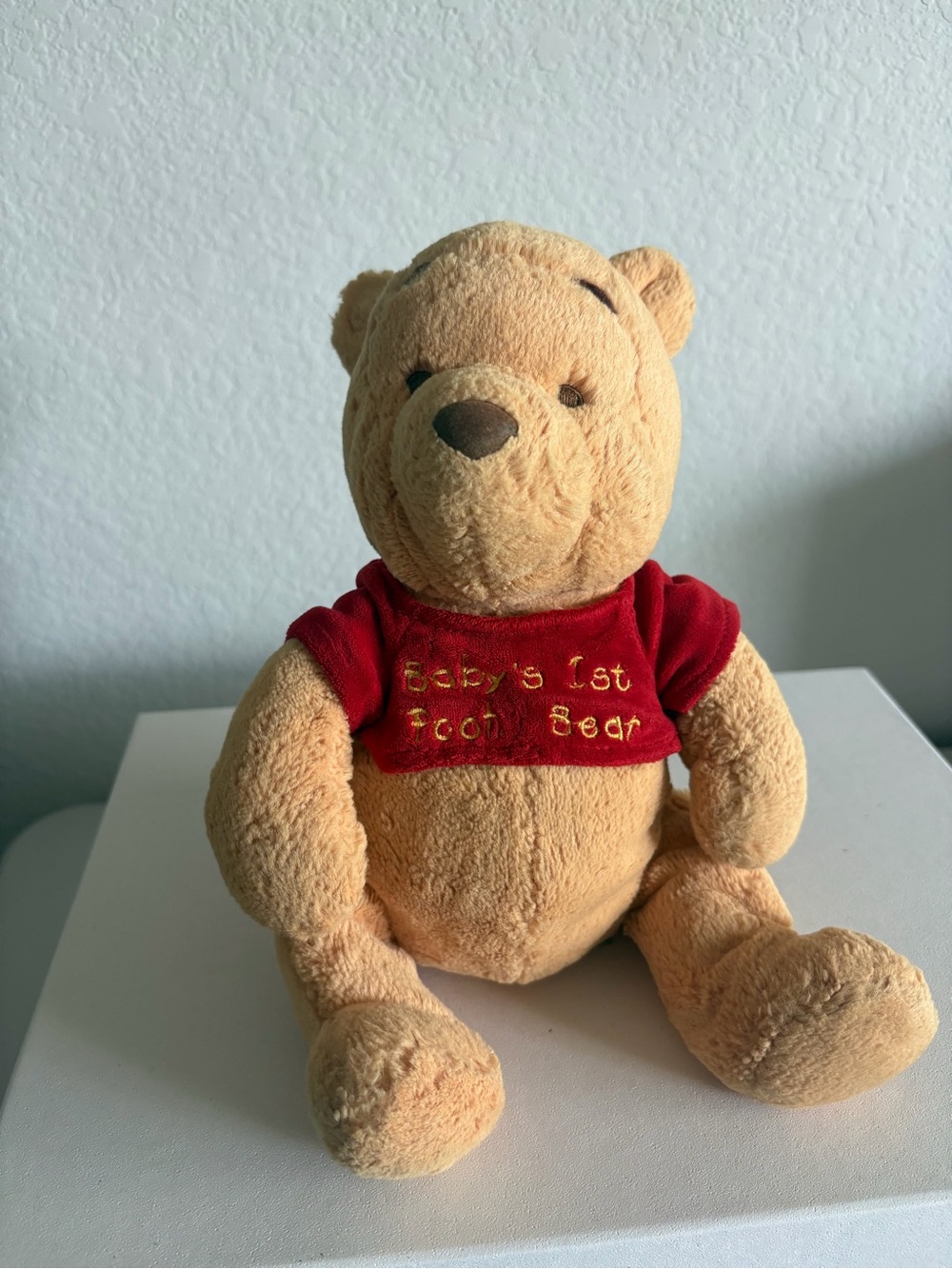 Disney Baby Babys 1st Pooh Bear Plush 12” Chime Rattle Stuffed Teddy Bear